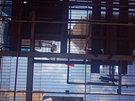 Juli n star pornographic pic