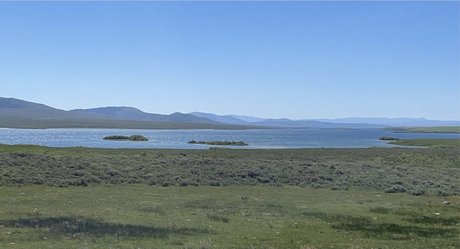 Boss adult star images