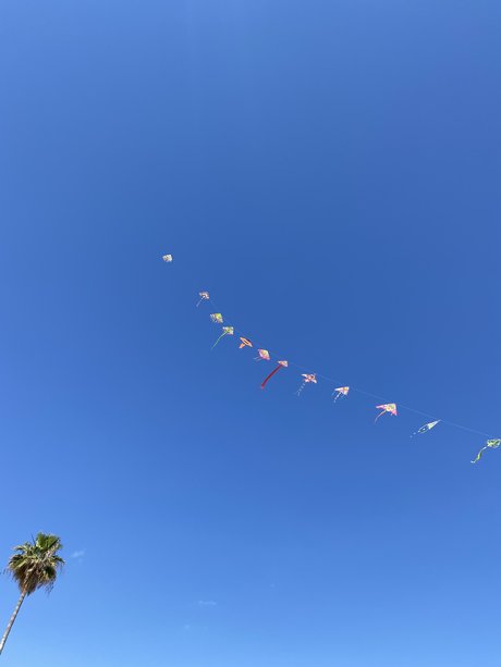 Royalpenny porn model img