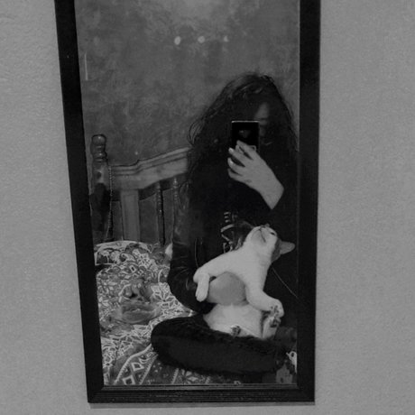 Deni Hern nice star images