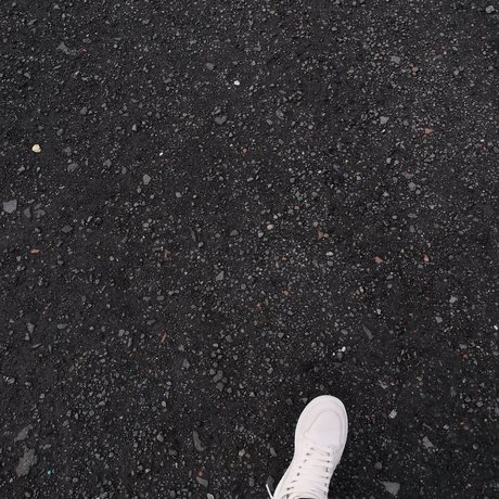 STEFAN model adult image