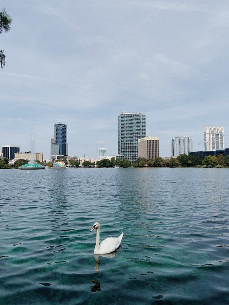 Spritzdad pornstar nice photos