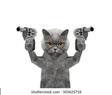 imgonnaeatyourheart top pornstar pictures