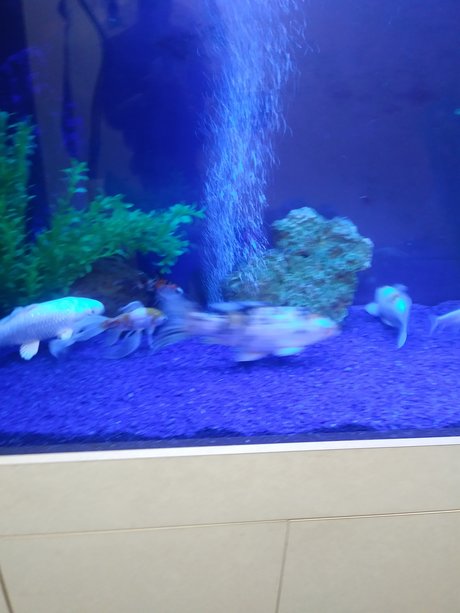 LonGdick beautiful model images