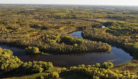 Bradley CM adult actress archive