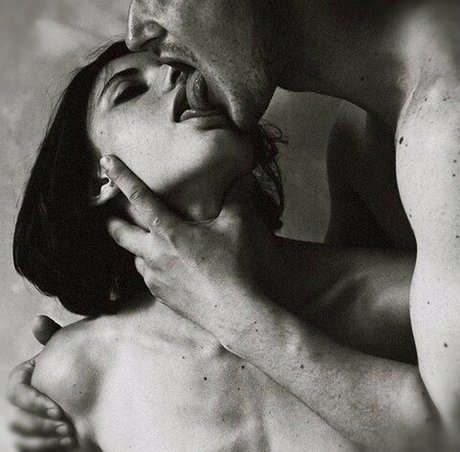 THE FOYAKER star nice photos