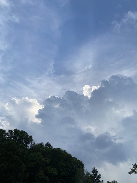 Fine China star nudes gallery