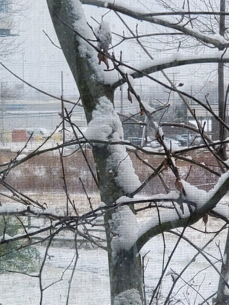 Norway porn actress gallery