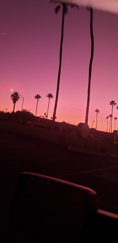 Bill Dill model sex gallery