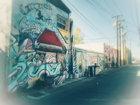 Lalo O free model pictures