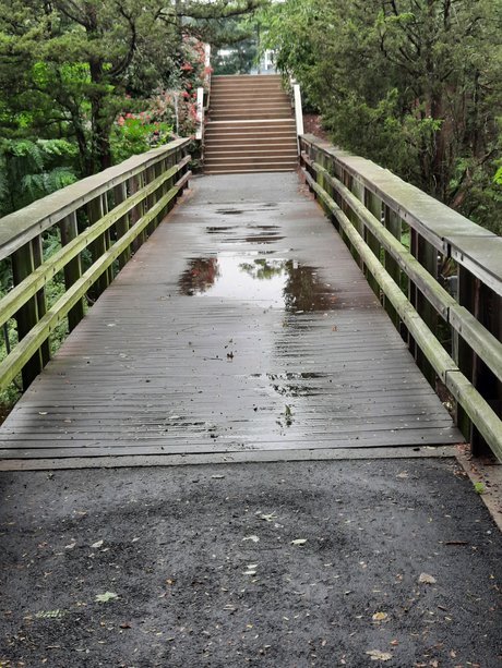 Doolzthedashing erotic model archive