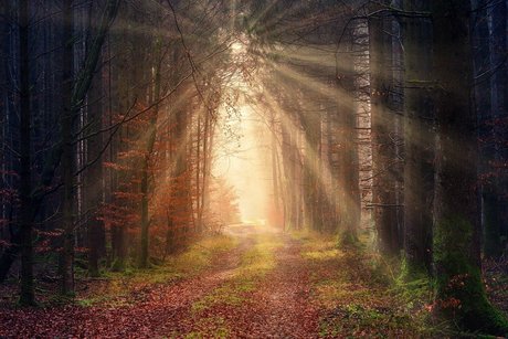 lesbian pussy onlyfans hot sexy archive