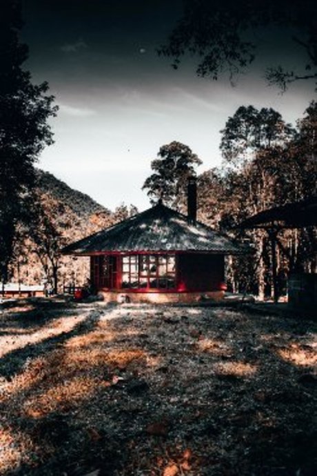 rafael star porn galleries