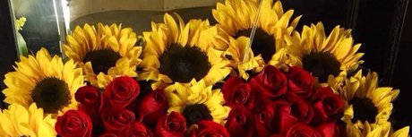 Goldenhoney adult model photo