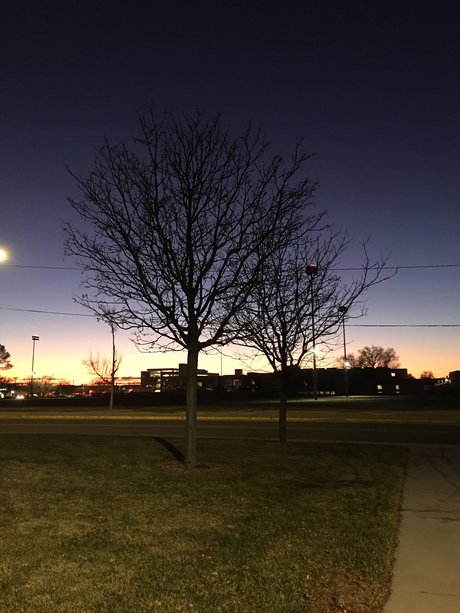 Aloys Yeh star adult image