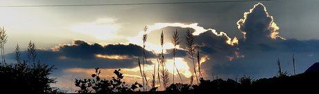 Matt Hollander pornstar best photos