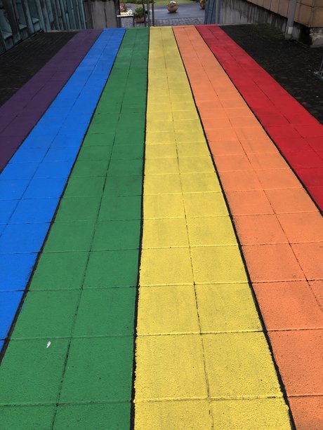 _rhildur Sara Sveinbj rnsd ttir nice pornstar gallery