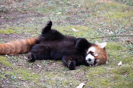 worthlessholes perfect pornstar pictures