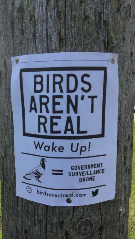 Max Pain best actress pics