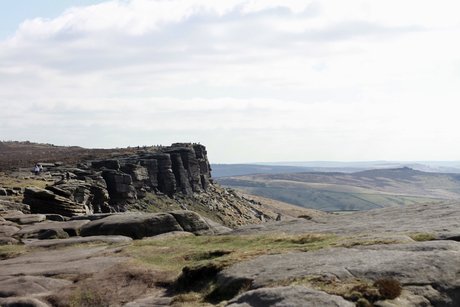 Sam Laing star perfect picture