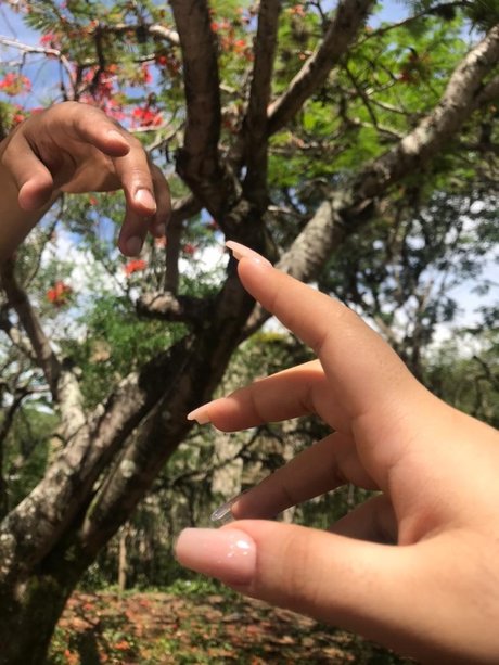 Totoro hot star gallery