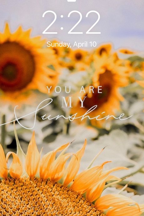 u155989845 hd star photo