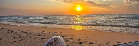 Trans witch pornstar hd pic