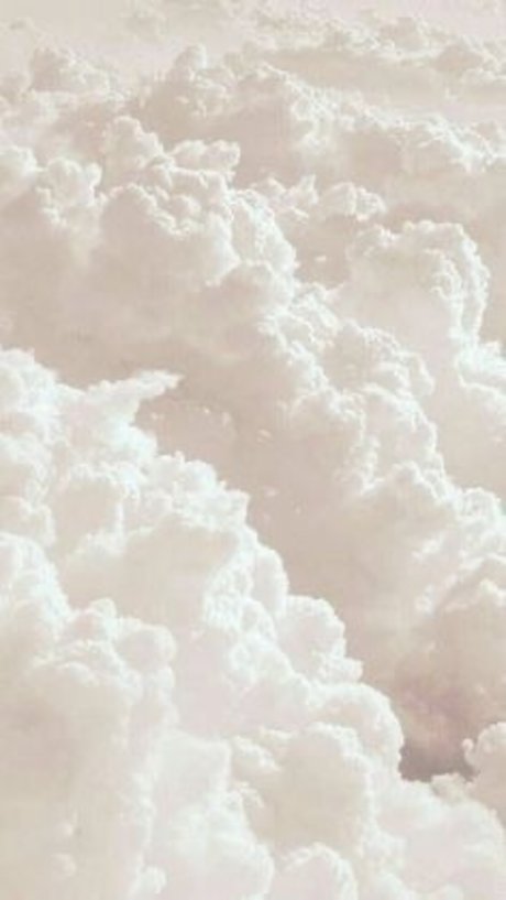 Austin XO star adult picture