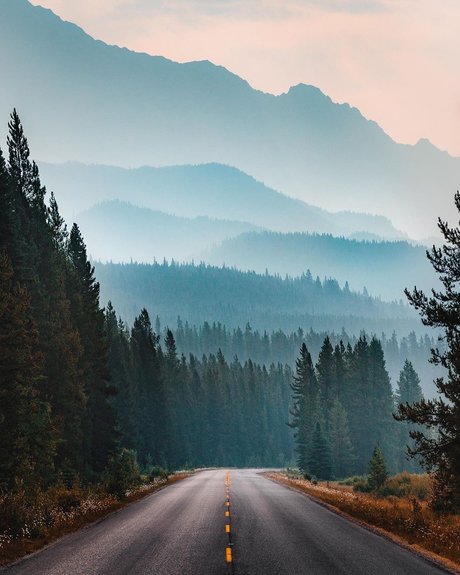 dave best actress pics