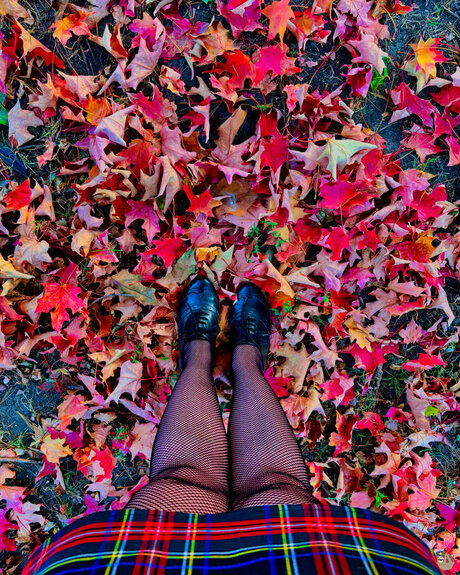 Sinful Sloth Slut she her_ star art photo