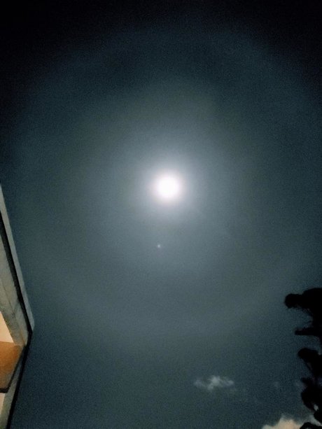 Goku Black pornstar exclusive archive