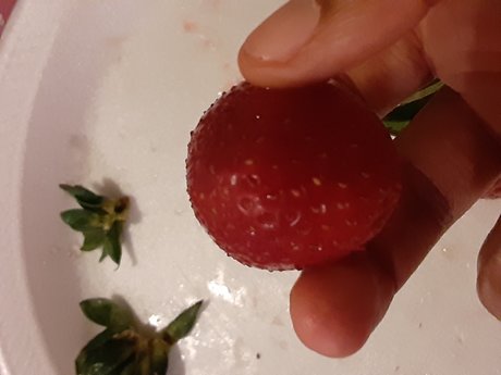 Tha Fat Goddess pornstar sexy gallery