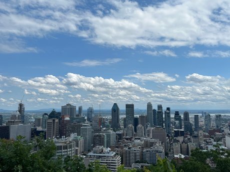 Tomlfr art star photo