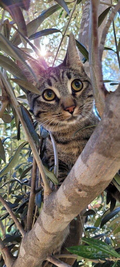 lesbian anal strapon onlyfans best pic