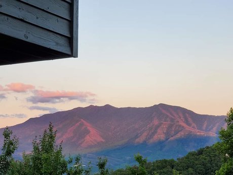 Nicole Rain star pretty image