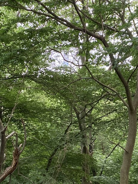 UncutNYC pornstar sex archive