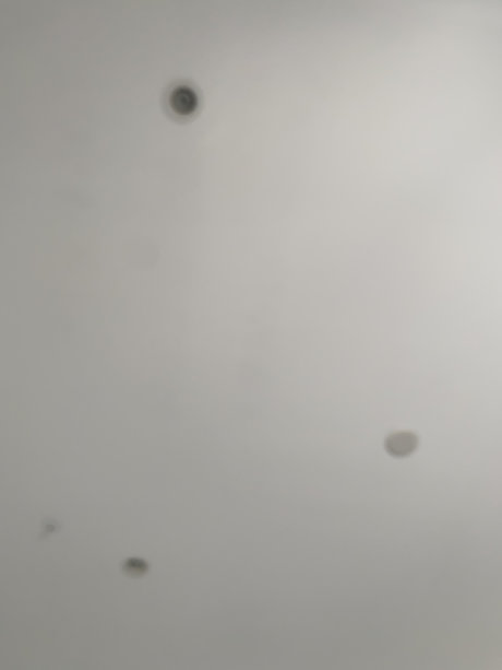 Tru2MyFetish pornstar nudes img