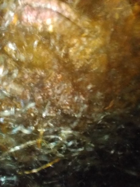 Keychawn nice pornstar img