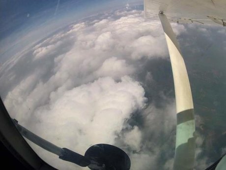 Wolfy 69 star nude image