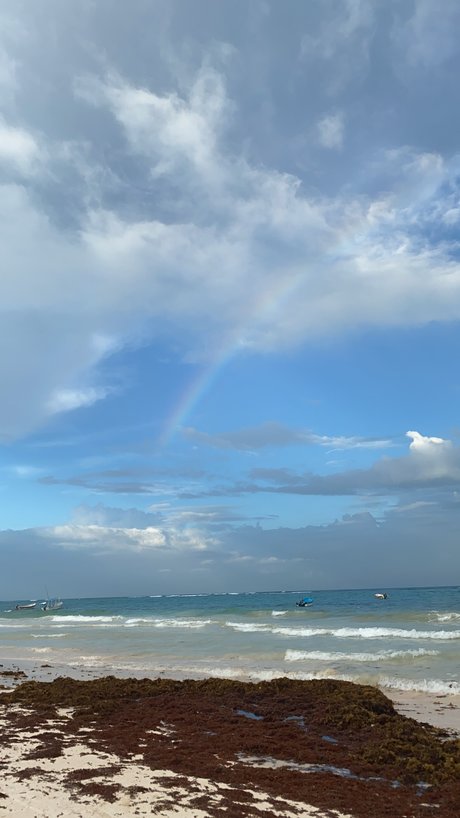 TRAIN WITH ALI model free gallery