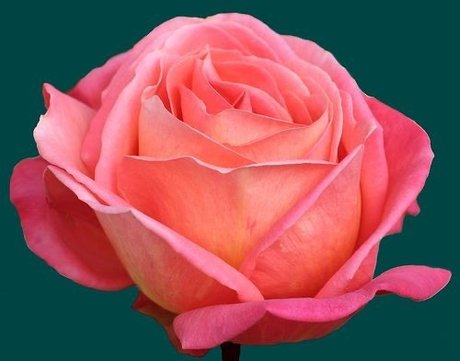 S d ct v Mistr ss pornstar free galleries