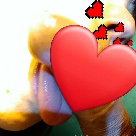 Talita Chef pornstar beautiful pics