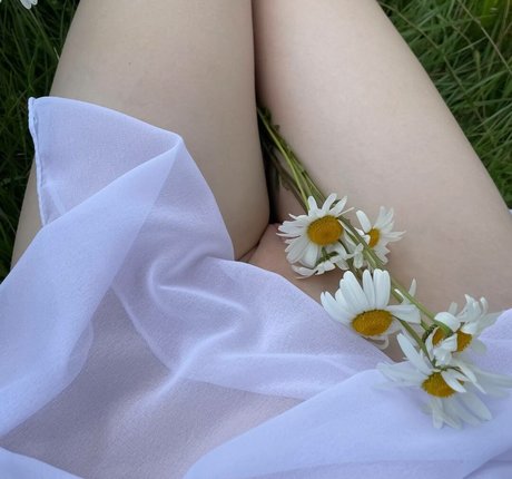 asyapixie top star archive