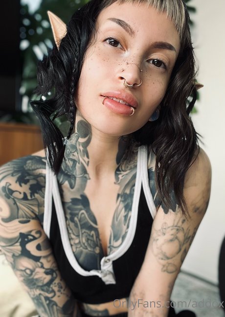 Addox perfect star galleries