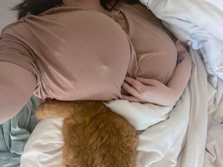 tallyberry art star gallery