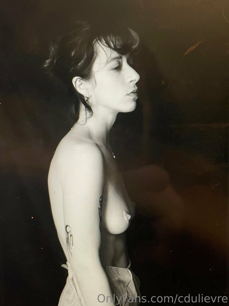 dulievre sexy star image