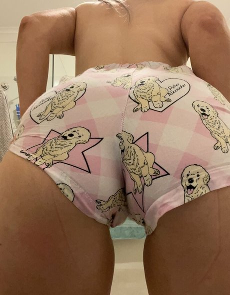 Catsefiro model top img