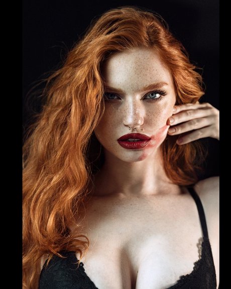 Myfoxyland beautiful star picture