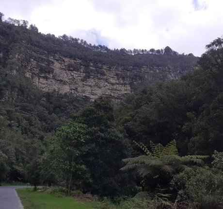 MakyMakys star free img