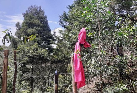 MakyMakys erotic actress gallery